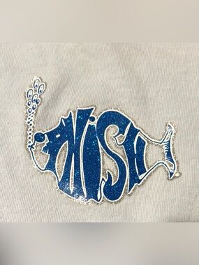 ⭕️⭕️Blue Glitter Phish Vintage 3/4 sleeve Tee EUC Rare from 1999-2000. SzLarge